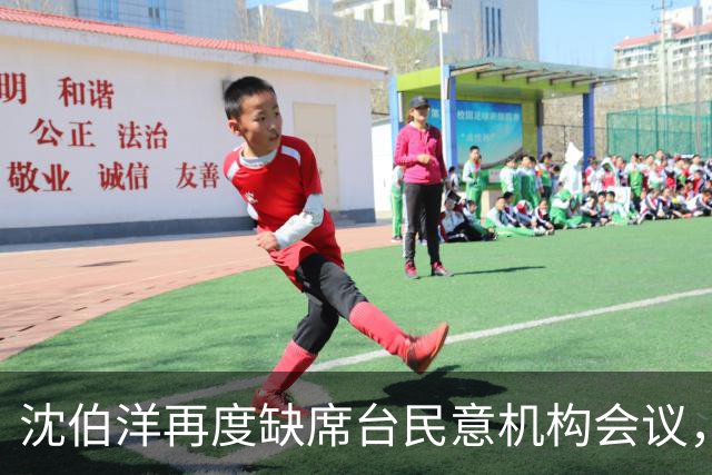 沈伯洋再度缺席台民意机构会议，翁晓玲批“薪水小偷”，吁尽快辞职