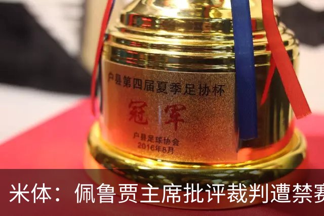 米体：佩鲁贾主席批评裁判遭禁赛3个月，并追加500欧元罚款