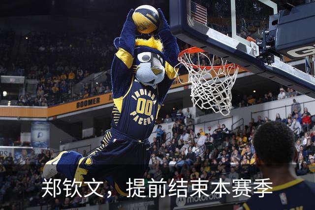 郑钦文，提前结束本赛季
